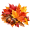 Fall Sale